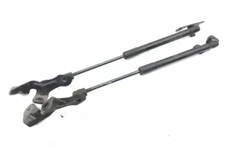 TESLA Model 3 1 generation (2017-2024) Jambe de Force de Capot Avant Gauche 109147200B 35152580
