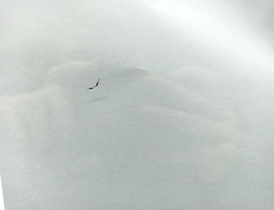 MERCEDES-BENZ CLS-Class C219 (2004-2010) Pare-brise avant A2098200011,43R001126,E243R001126,736389,M2121BAS1,73638900 32936149