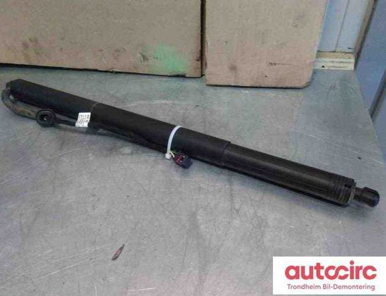 VOLKSWAGEN Passat B8 (2014-2023) Vérin à gaz de hayon côté gauche 3g9827851b,3g9827851f 30849615