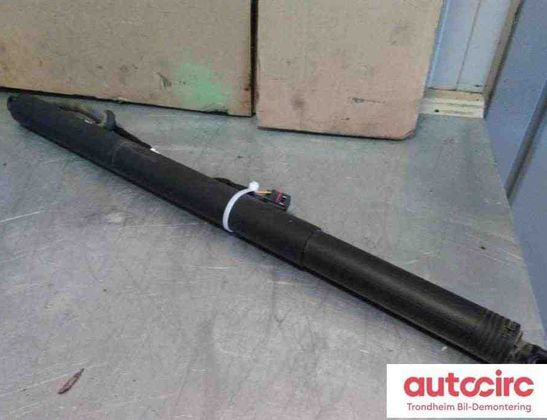 VOLKSWAGEN Passat B8 (2014-2023) Vérin à gaz de hayon côté gauche 3g9827851b,3g9827851f 30849615