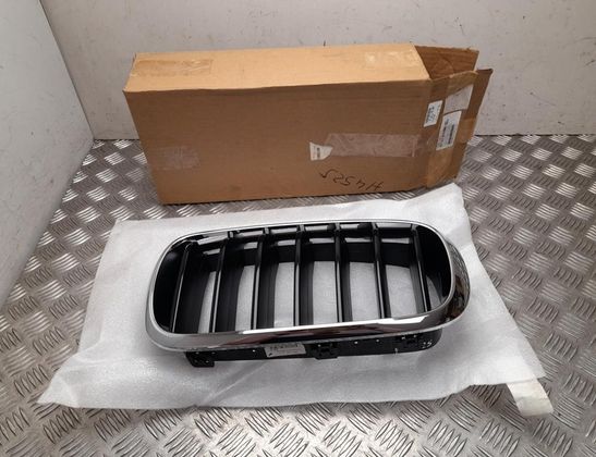 BMW X6 F16 (2014-2020) Grilles 7373689,51137373689 32791005